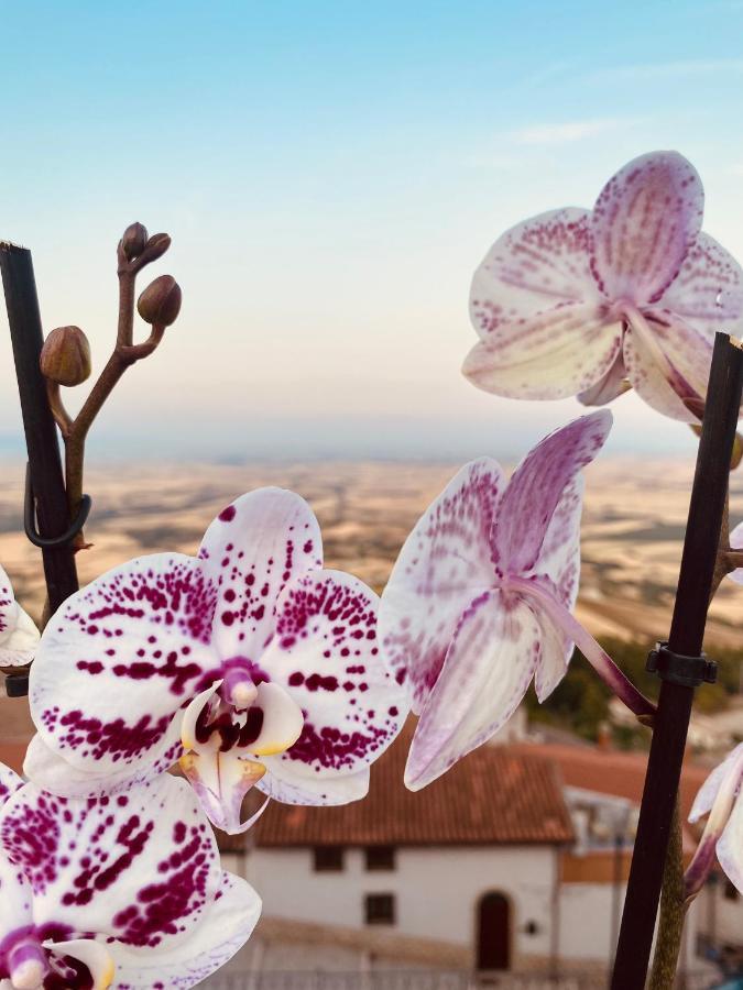 Guest house Relais San Marco Luxury